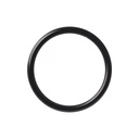 S/Steel Continuous Nose Rings