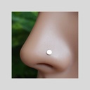 Nostril Disc 2.5mm (Titanium)