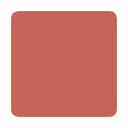 Timeless PMU Colors | LIP 100 10ml 