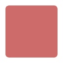 Timeless PMU Colors | LIP 101 10ml 