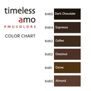 Timeless PMU Colors | Dark Chocolate 10ml AMO