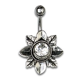 Silver Shield Alpenblume