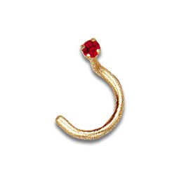 Micro Nostril gebogen 18Kt.