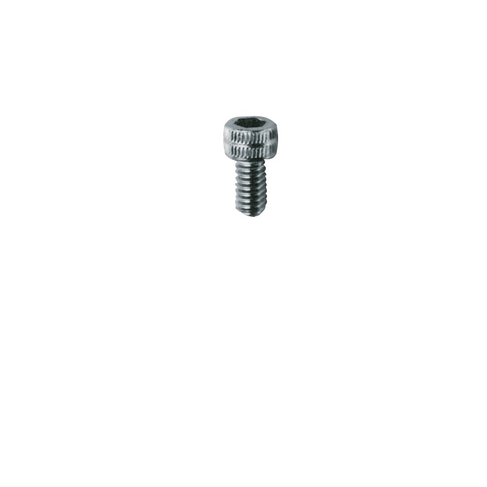 Caphead Machine Screws 6x8mm. 10 pcs.