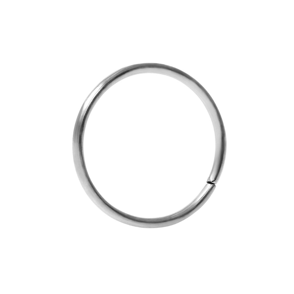 Continuous Nose Rings (Steel) | imaxshop.com