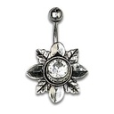 Silver Shield Alpenblume