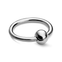 Captive Bead Rings (Titanium)